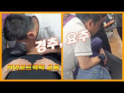 카이로프랙틱 교육 경추 PRI, 요추 <strong>PR</strong> 조정. cervical lumbar adjustment.