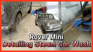 Rover Mini Detailing Steam Car Wash !