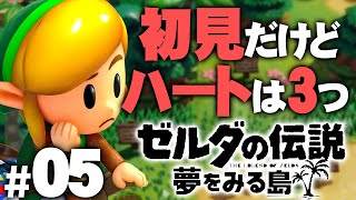 【初見ハート3つ縛り】山の楽器を集めに行こう『ゼルダの伝説 夢をみる島』を実況プレイ part5