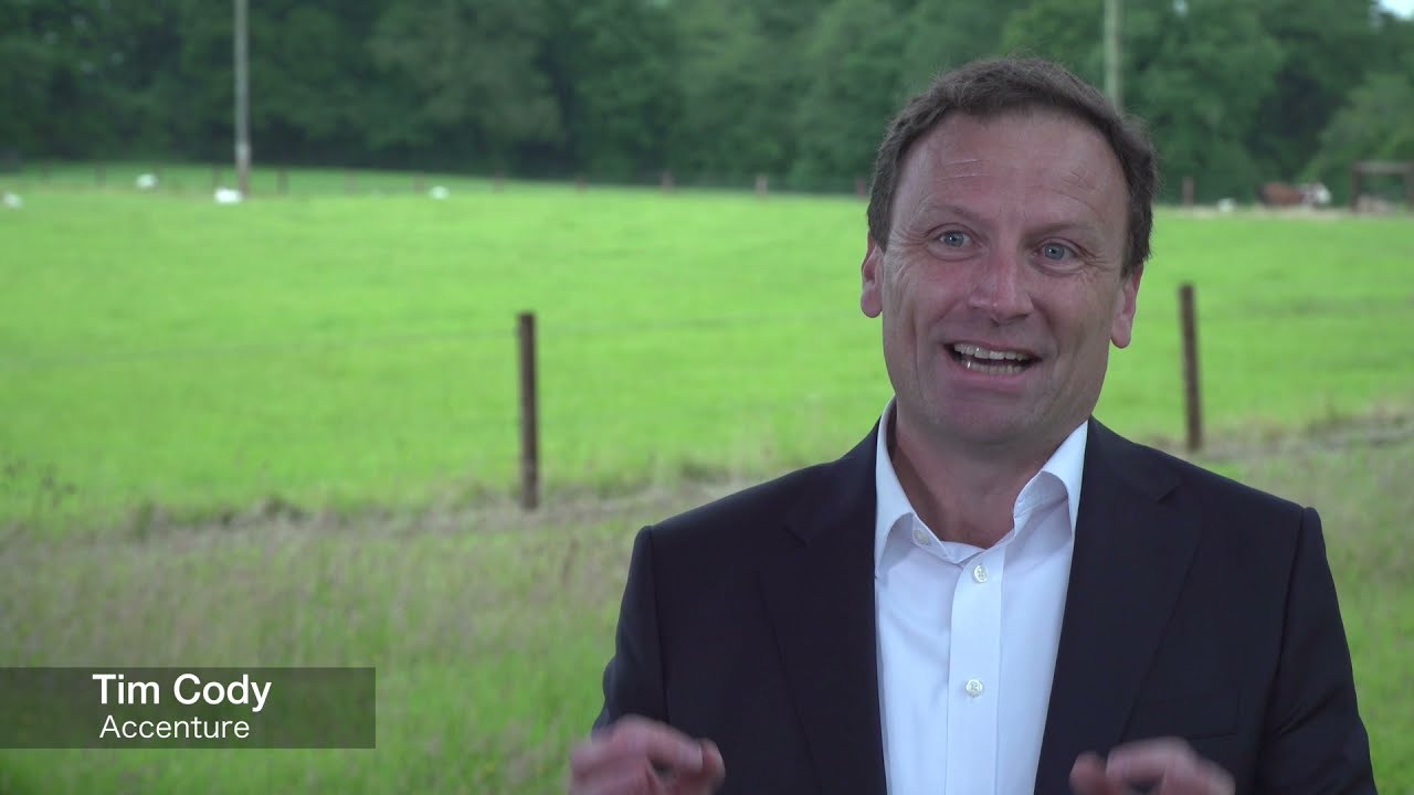 Agrinewal | Tim Cody