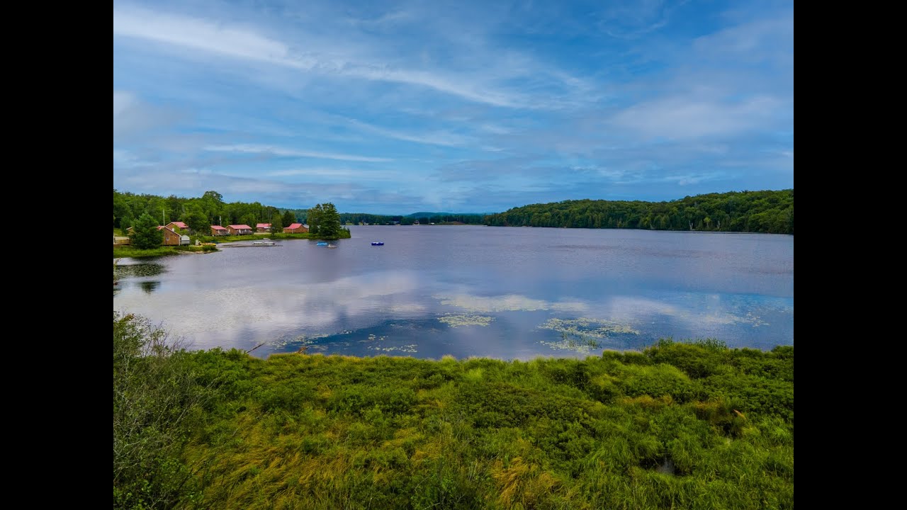 For Sale Pickerel & Jack Lake Rd, Burks Falls YouTube
