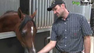 Top Horse TV - Behind the Stable Door at Future Farms Australia