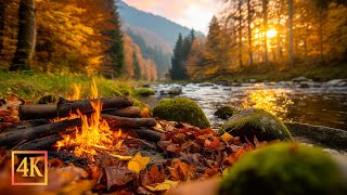 Download Lagu Peaceful Morning Ambience in Autumn Forest 🍂 Cozy Campfire \u0026 Calming River Sounds for Relaxation MP3