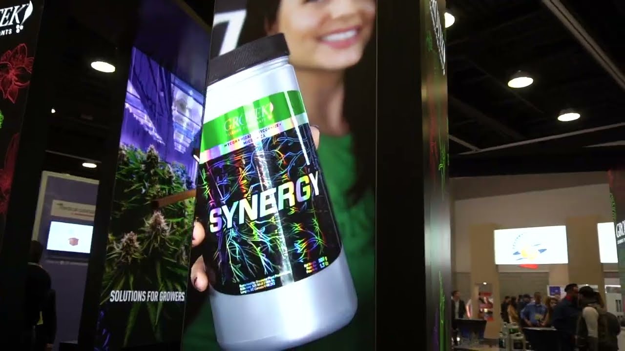 Lift & Co Expo in Vancouver