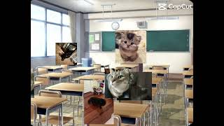 ✏️First Day Of School Episode 7✏️#cat#funny#foryou#fyp#cute