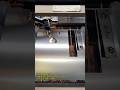 🏠 Создан для домашних животных, сделанный вручную на xTool MetalFab.🔅