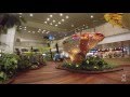 5 Minute tour in Singapore Changi Airport