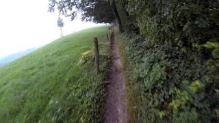 die schönsten Trails auf dem Hasenberg