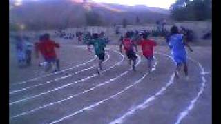 Cotagaita Etles