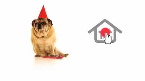 Avaak Vue - "Good Boy"