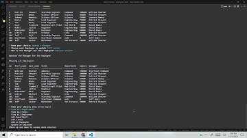 Employee Tracker Demo Video