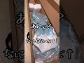 きわまれり、ギターを買う｡【Blitz レスポール】#shorts