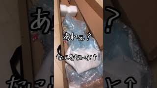 きわまれり、ギターを買う｡【Blitz レスポール】#shorts