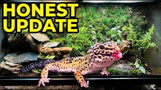 Bioactive Leopard Gecko Terrarium Update: Success or Failure?