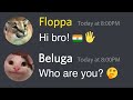 When Your Indian Cousin is a Floppa... (Beluga vs Floppa)