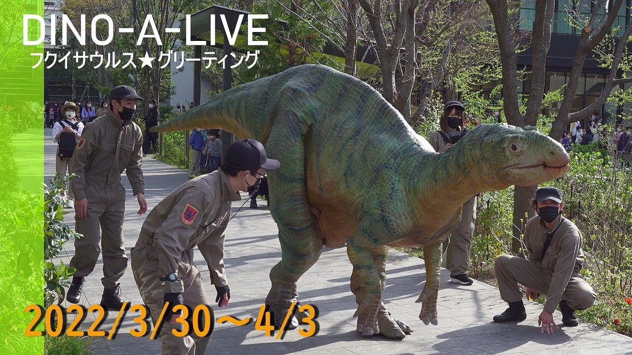 【GREEN SPRINGS】DINO-A-LIVE フクイサウルスグリーティング／恐竜練り歩き★DINO-A-LIVE Fukuisaurus Dinosaur Greeting≪4K≫