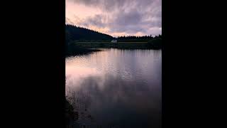 Scattered Ashes - East of the Sun (Roy Harper)
