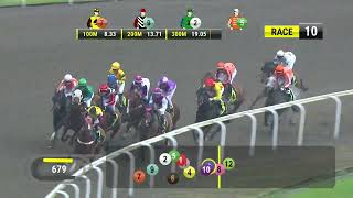 Vidéo de la course PMU TRUDEAU 2013 STAKES