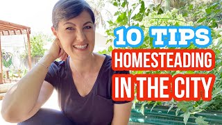 10 TIPS HOW TO HAVE A HOMESTEAD IN THE CITY