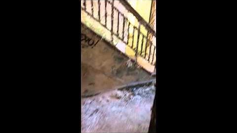 Digital Media Project 3