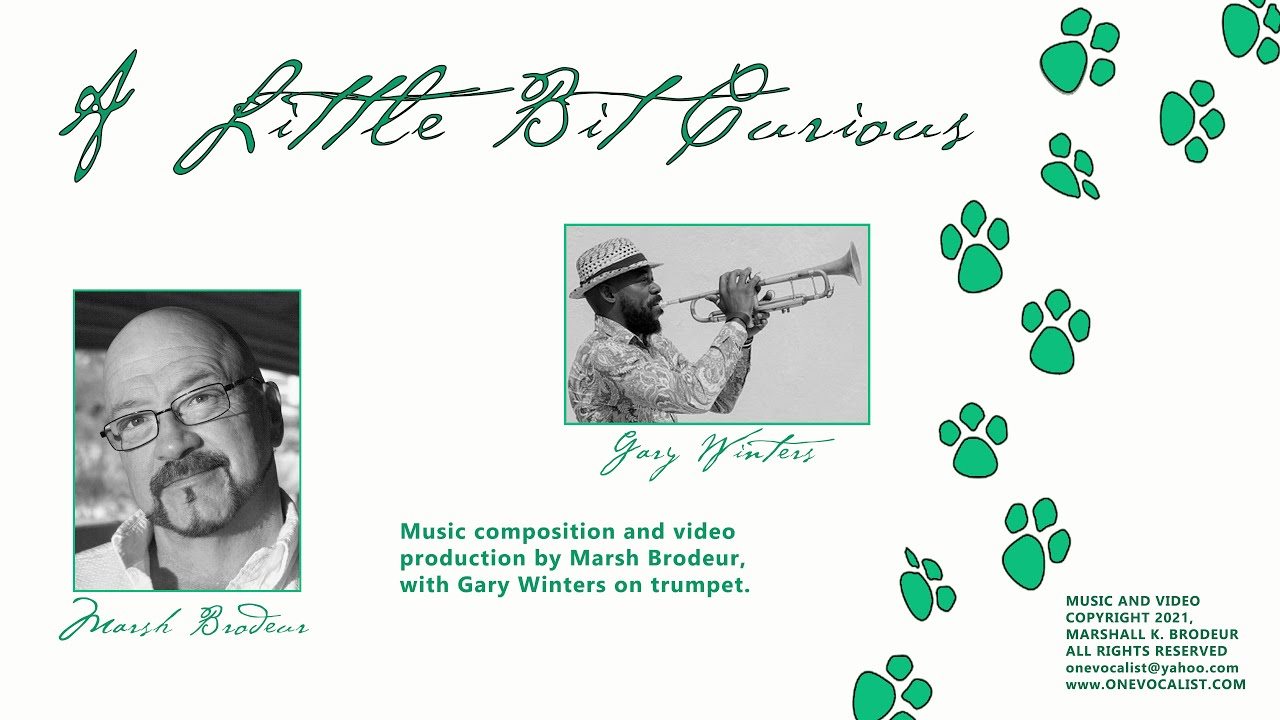 A Little Bit Curious by Marsh Brodeur