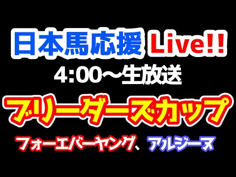 日本馬応援Live!!】2025 ブリーダーズカップ【フォーエバーヤング