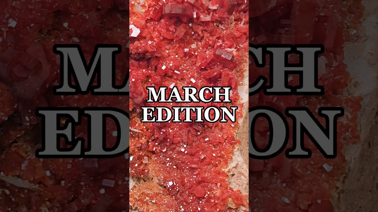 where will we see you this month? 