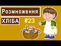 Розповіді Доброї Книги - Розмноження хліба