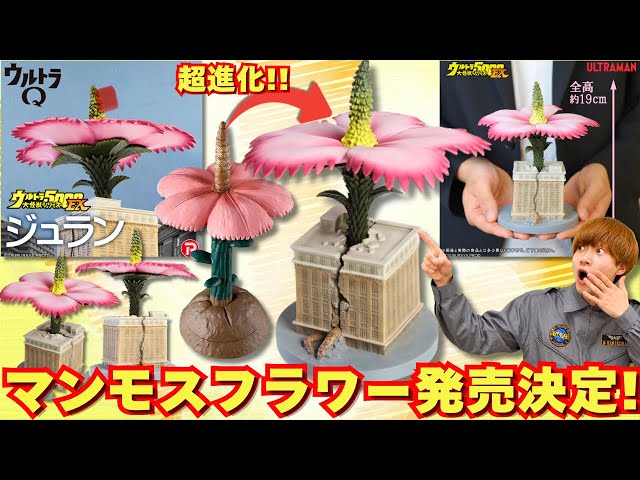 The First Ultra Series Kaiju] The Giant Plant Mammoth Flower
