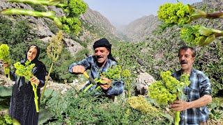 Harvesting extremely rare mountain plants: nomadic man's perilous journey