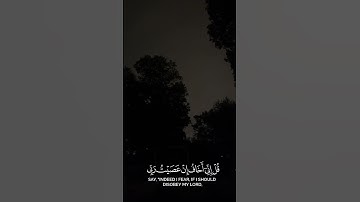 أية قرٱنية من سورة الأنعام | تلاوة هادئة و راحة نفسية القارئ   عبد المحسن الضباح ❤️‍🩹