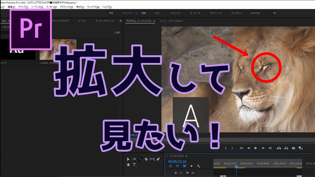 プレミアプロフで拡大表示する方法 初心者のための動画編集 Premiere Pro 実際の使い方 Youtube