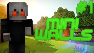 Hypixel - Mini Walls #1