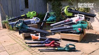 Budget leaf blowers  Buyer's Guide