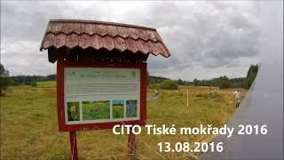 Cito Tiske Mokrady 2016 13.08.2016