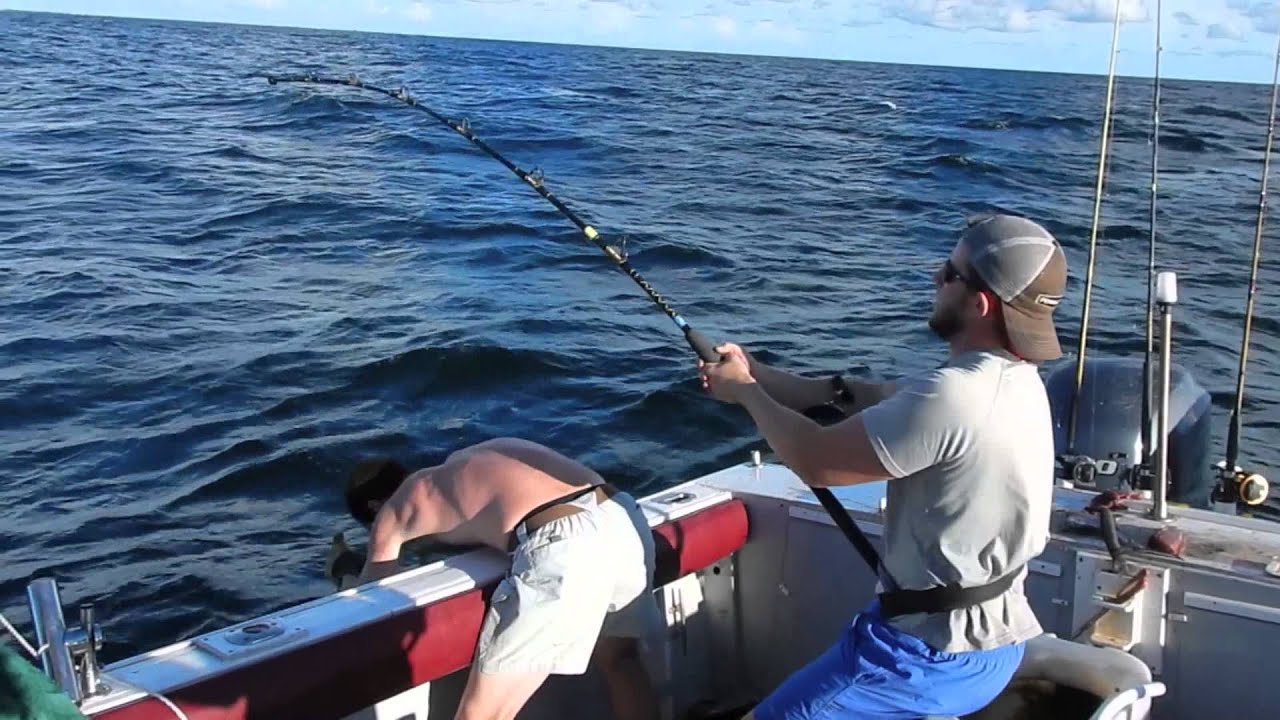 Offshore fishing in Venice, FL 2015 YouTube