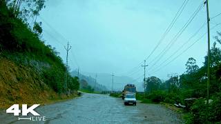 The Healing Downpour: Relaxing Nature Rain Walk for a Quiet Mind & Insomnia
