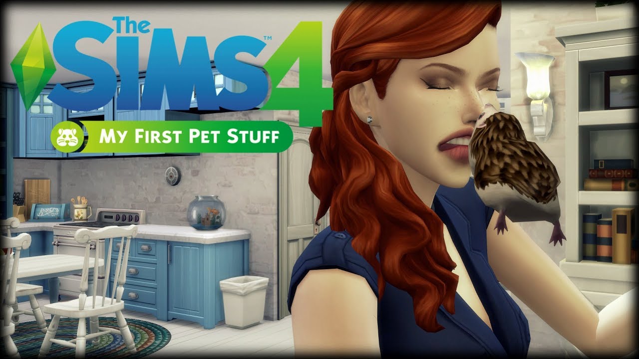 The Sims 4 -MÓJ PIERWSZY ZWIERZAK 🐀AKCESORIA🦔 Błąd w Matrixie?! - YouTube