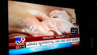 Cadaboms Eva American Pitbull 21 Puppies In One Litter- Tv9 Kannada