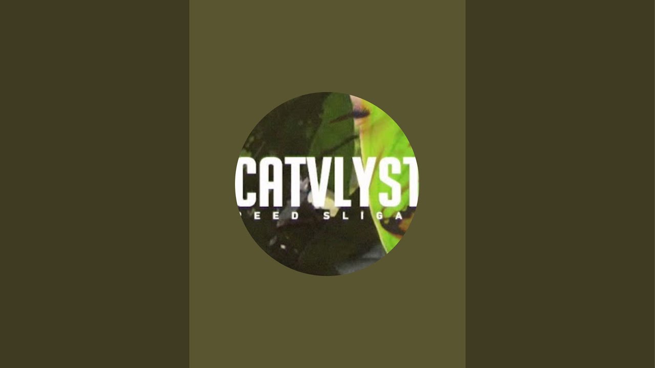 CATVLYST  is live!