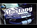 How to Paint Mustang Dual Hood Stripes Instead of Factory Vinyl Decal | Sticker