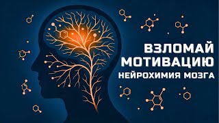 картинка: Нейрохимия МОТИВАЦИИ: почему мы ленимся и как это исправить