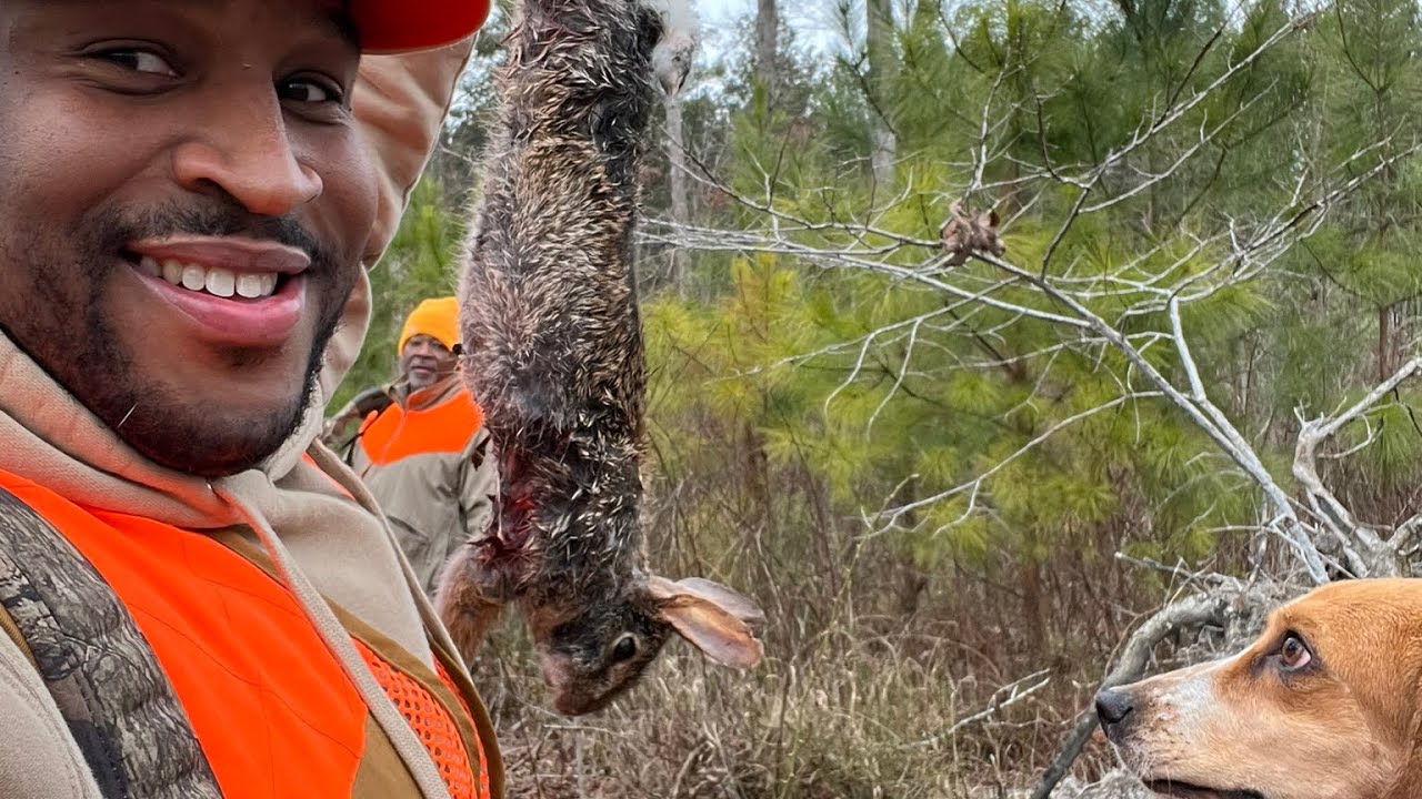 Rabbit Hunting on NC Gamelands #rabbithunting #hunting - YouTube