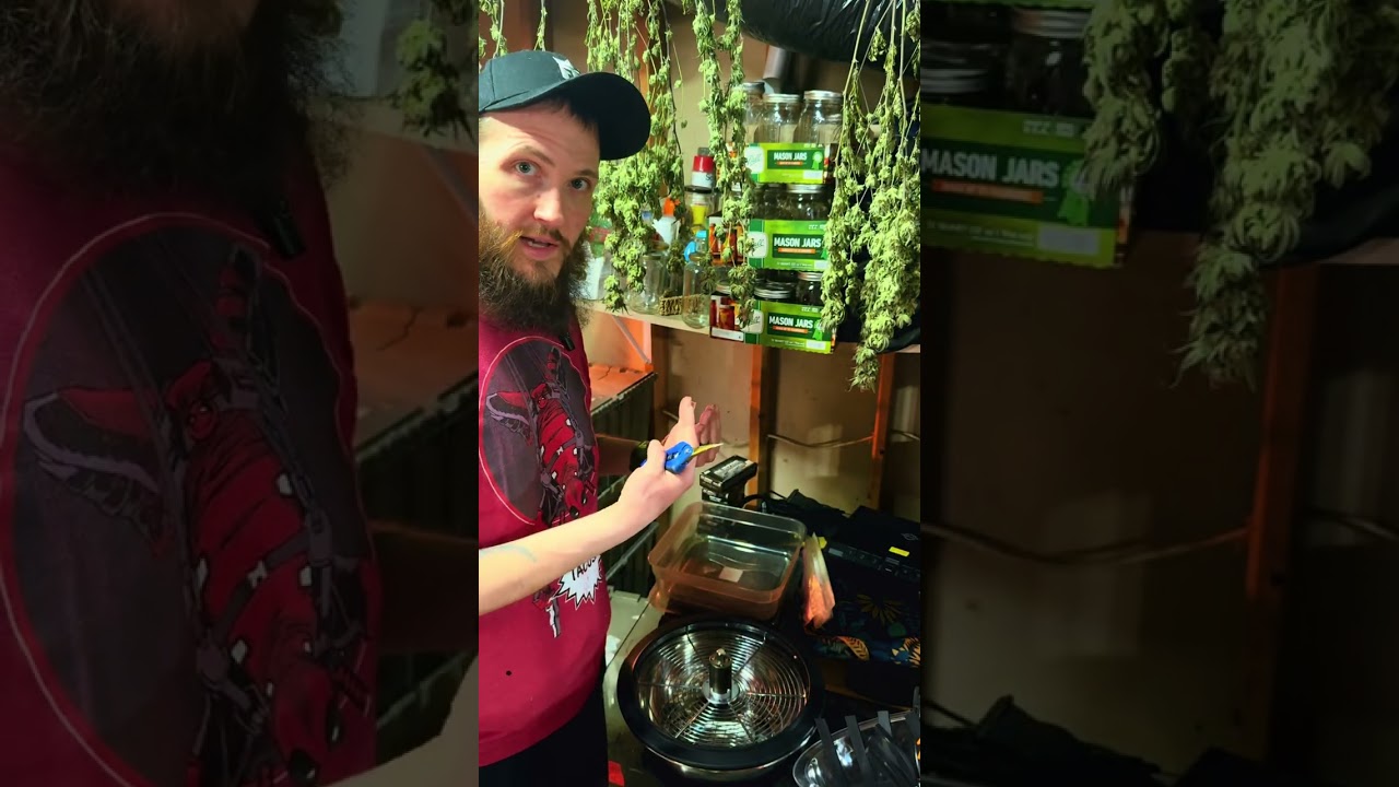 New trimmer bowl! @Vivosun