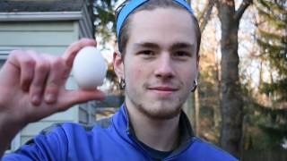 Egg Drop Project (Newtons 3 Laws of Motion)