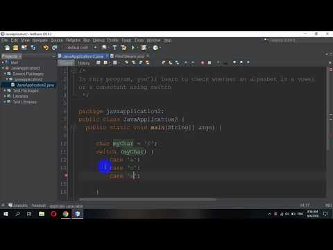 How to Check whether an alphabet is vowel or consonant using switch statement