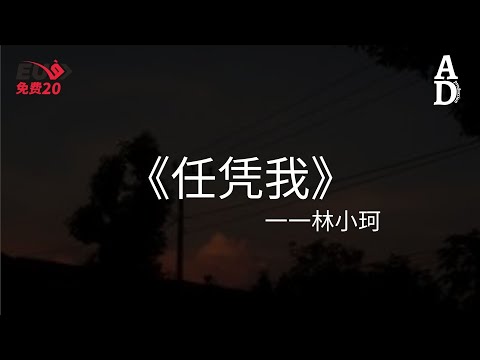 任憑我 - 林小珂『任憑我有一百萬個想複合的心 但你卻是個打死不肯回頭的人』【高音質/動態歌詞/Pinyin Lyrics】
