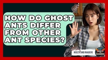 How Do Ghost Ants Differ From Other Ant Species? - Insects and Invaders