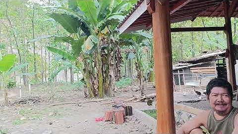 Jangan Tonton Bagi Yang Belum Menikah.!!kehidupan Suku Jawa Di Desa Terpencil Pedalaman Jawa Tengah