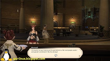 [PL] Linux gry: Final Fantasy XIV: A Realm Reborn wine